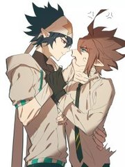 猫咪在线观看网站入口